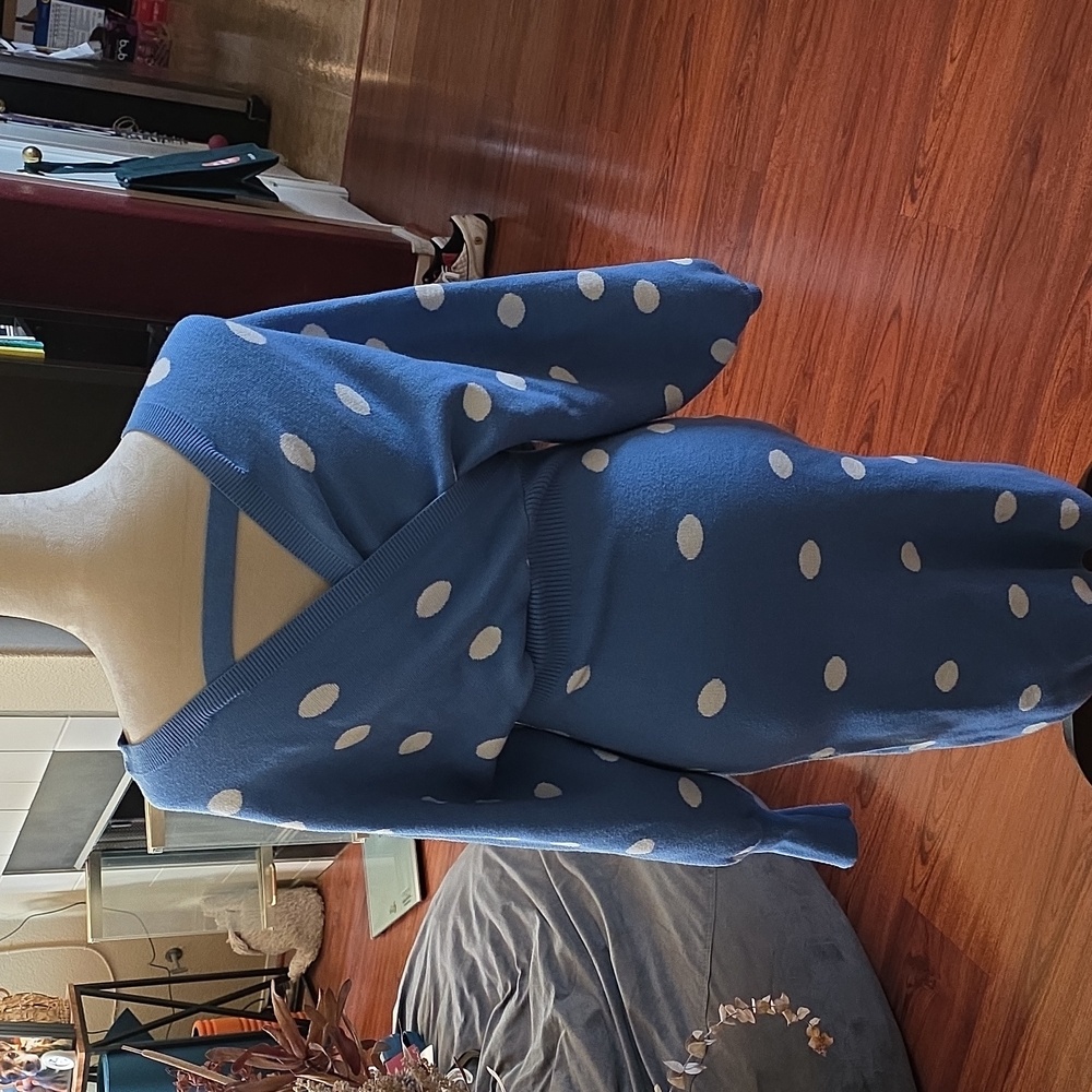 Blue Polka Dot Sweater Dress - Picture 2 of 3